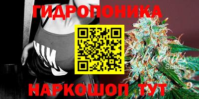 гидра Тула