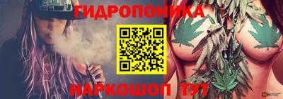 гидра Тула